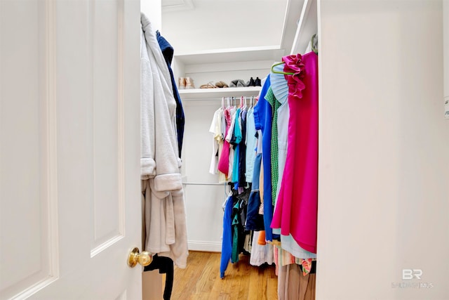 spacious closet with light wood-type flooring