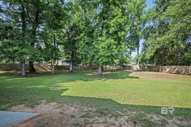 302 Norwood Ct, Bay Minette, AL 36507 - view of yard