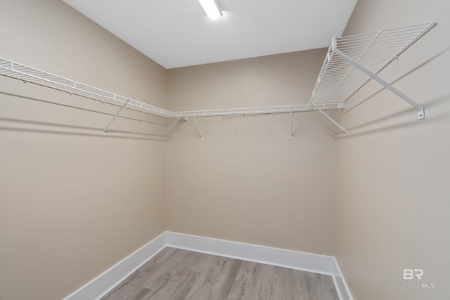 bedroom with light hardwood / wood-style floors and ceiling fan