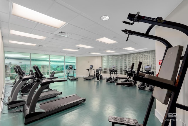 gym with a drop ceiling, a wall of windows, and concrete floors