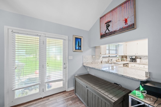 interior space featuring light wood-type flooring, light stone counters, plenty of natural light, and sink