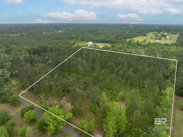 46825 Rockhill Rd, Bay Minette AL, 36507 land for sale