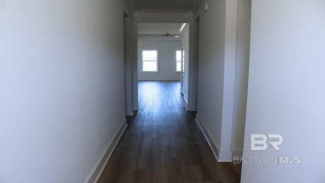 12681 Shoshoney Cir, Fairhope, AL 36532 - hall with dark wood finished floors, baseboards, and ornamental molding