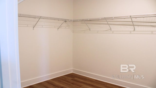 12681 Shoshoney Cir, Fairhope, AL 36532 - spacious closet featuring dark wood-style floors