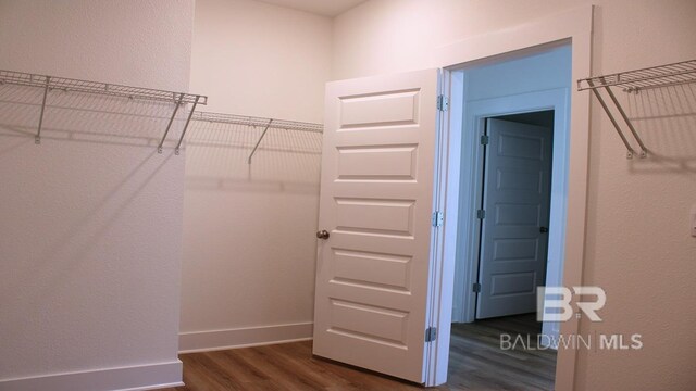 12681 Shoshoney Cir, Fairhope, AL 36532 - walk in closet featuring dark wood-type flooring