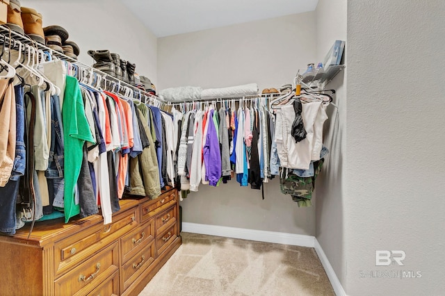 spacious closet with carpet flooring