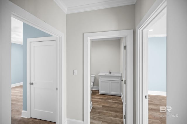 hallway featuring sink and crown molding