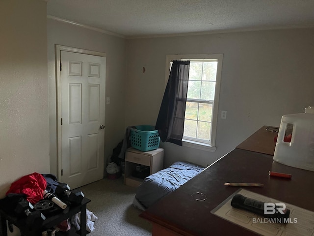 bedroom featuring a textured ceiling