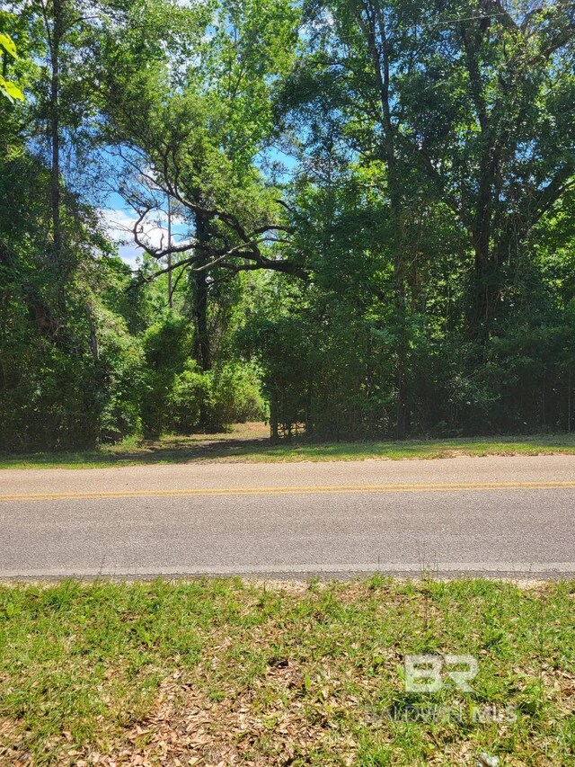 25597 Waterworld Rd, Robertsdale, AL 36567