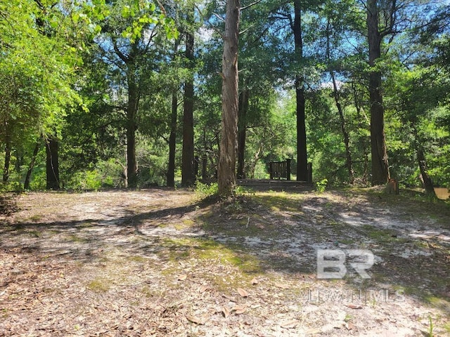25597 Waterworld Rd, Robertsdale, AL 36567