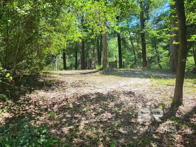 25597 Waterworld Rd, Robertsdale, AL 36567