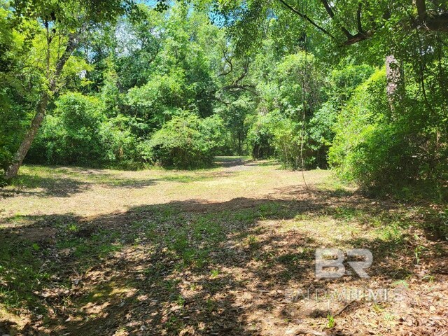 25597 Waterworld Rd, Robertsdale, AL 36567