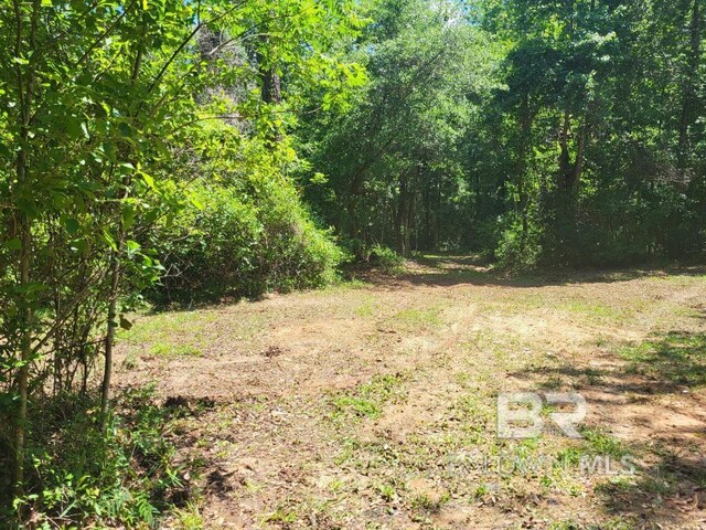 25597 Waterworld Rd, Robertsdale, AL 36567