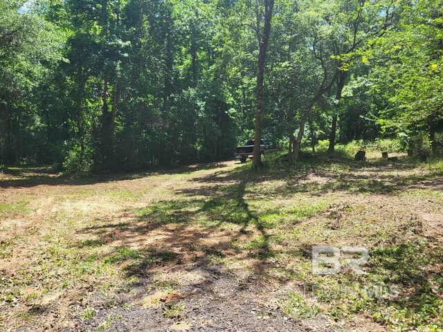 25597 Waterworld Rd, Robertsdale, AL 36567