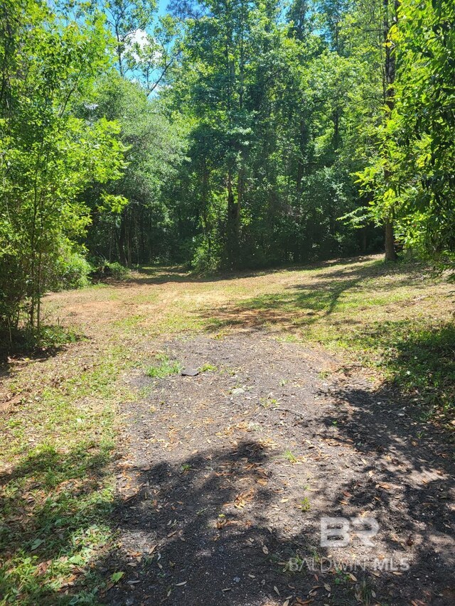 25597 Waterworld Rd, Robertsdale, AL 36567