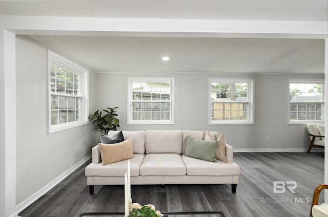 5922 Sunnyside Dr, Mobile, AL 36619 - living area featuring wood finished floors, baseboards, healthy amount of natural light, ornamental molding, and recessed lighting