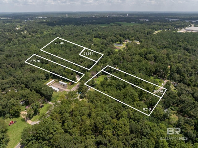 13246 County Road 138, Bay Minette AL, 36507 land for sale