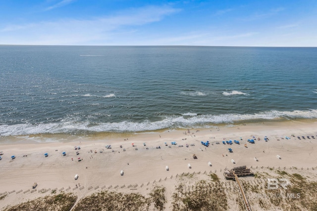 property view of water featuring a beach view