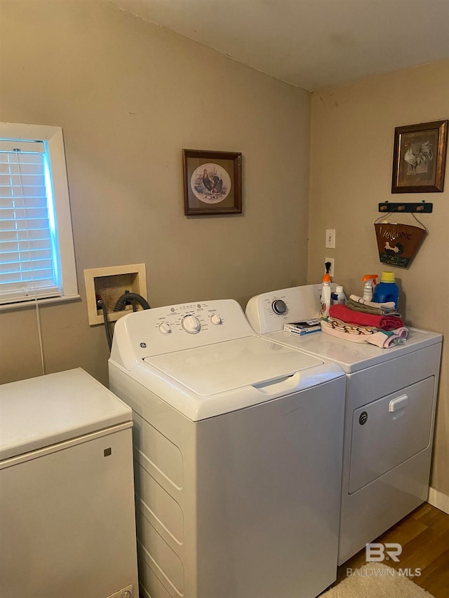 laundry area with washing machine and dryer and hardwood / wood-style floors