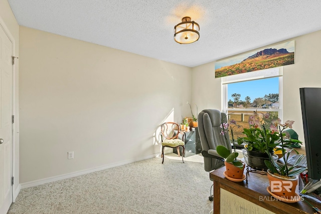 home office with carpet floors and a textured ceiling