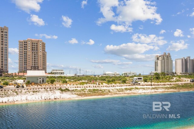 view of water feature featuring a beach view