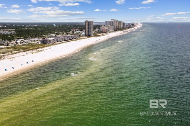 property view of water with a beach view