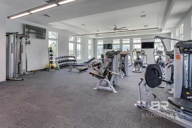 gym with a wealth of natural light, carpet floors, and a raised ceiling