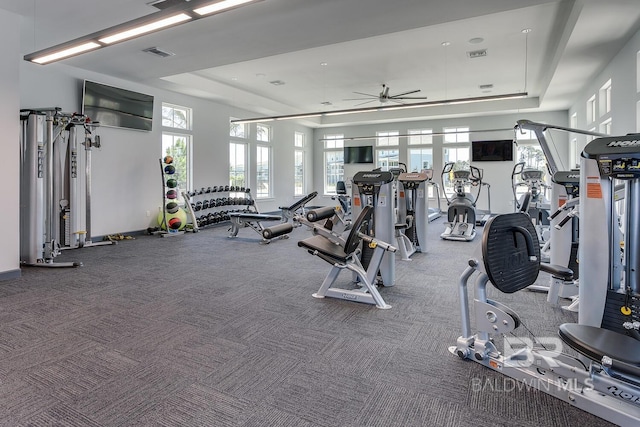 exercise room featuring a raised ceiling and ceiling fan