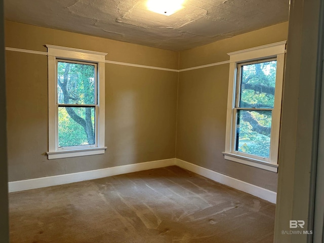 unfurnished room featuring a wealth of natural light and carpet