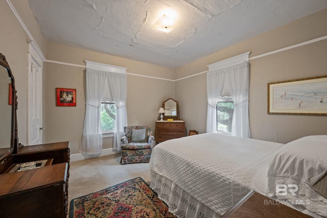 bedroom featuring carpet