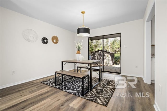 dining area featuring hardwood / wood-style flooring