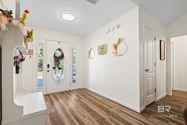 entrance foyer featuring wood-type flooring