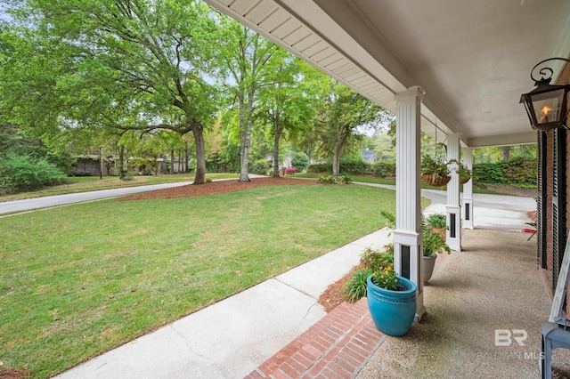 view of yard featuring a porch