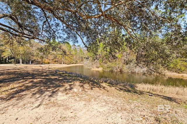 view of local wilderness featuring a water view