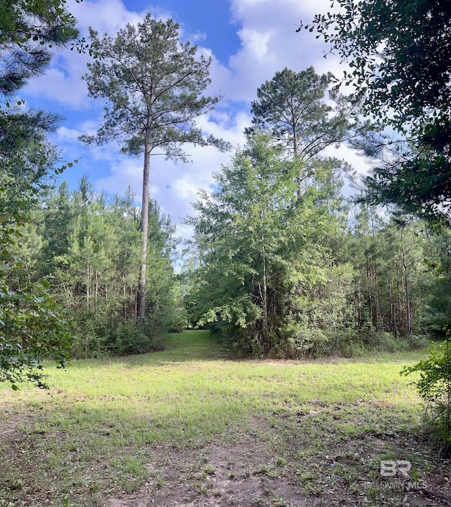 24996 Cowpen Creek Rd, Robertsdale, AL 36567 - view of yard featuring a wooded view