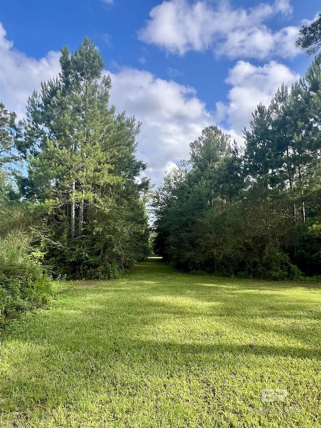 24996 Cowpen Creek Rd, Robertsdale, AL 36567 - view of grassy yard featuring a view of trees