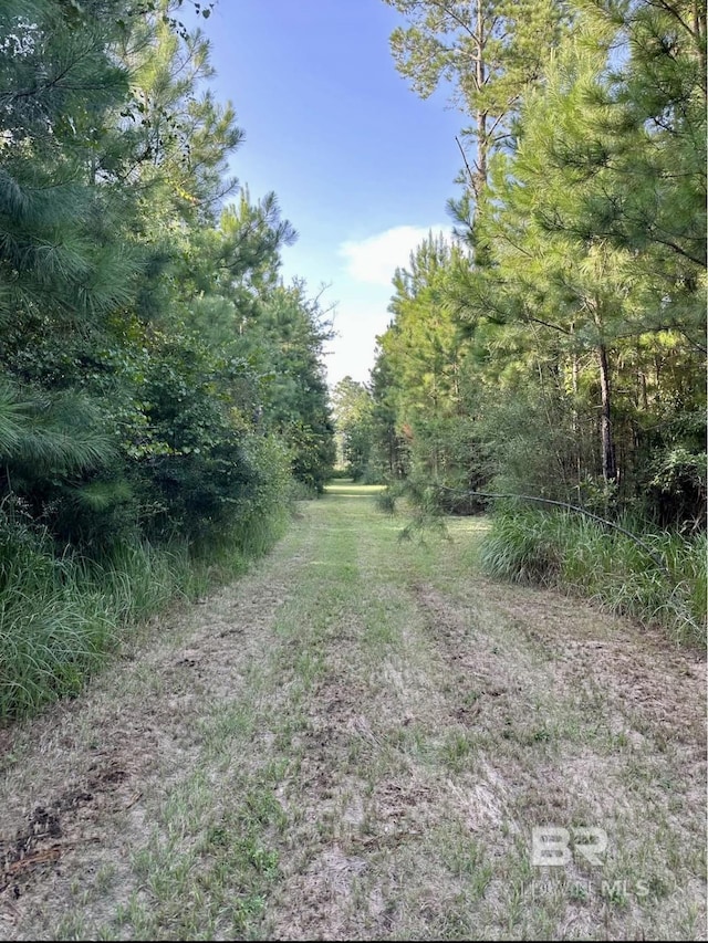 24996 Cowpen Creek Rd, Robertsdale, AL 36567 - view of yard with a wooded view