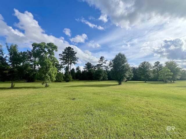 24996 Cowpen Creek Rd, Robertsdale, AL 36567 - view of grassy yard