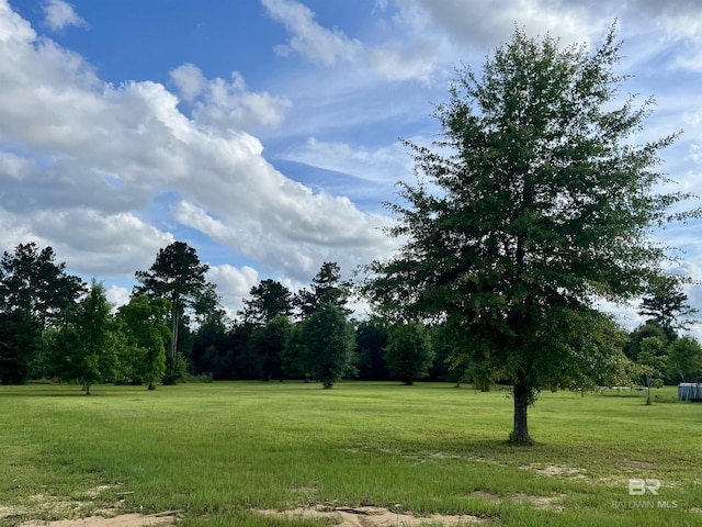24996 Cowpen Creek Rd, Robertsdale, AL 36567 - view of grassy yard