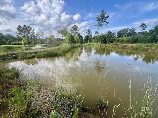 24996 Cowpen Creek Rd, Robertsdale, AL 36567 - water view