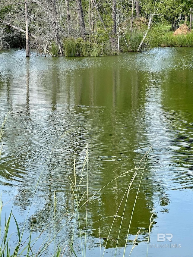 24996 Cowpen Creek Rd, Robertsdale, AL 36567 - water view