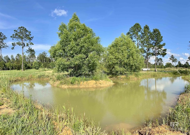 24996 Cowpen Creek Rd, Robertsdale, AL 36567 - water view