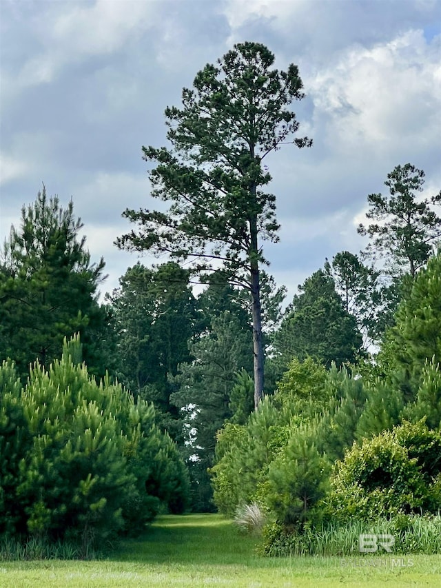 24996 Cowpen Creek Rd, Robertsdale, AL 36567 - view of yard