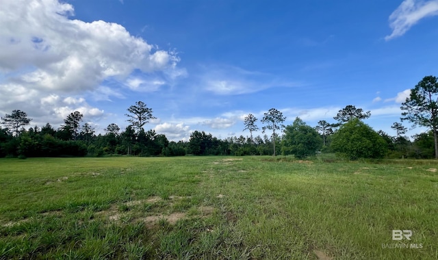 24996 Cowpen Creek Rd, Robertsdale, AL 36567 - view of yard featuring a view of rural / pastoral area and a view of trees