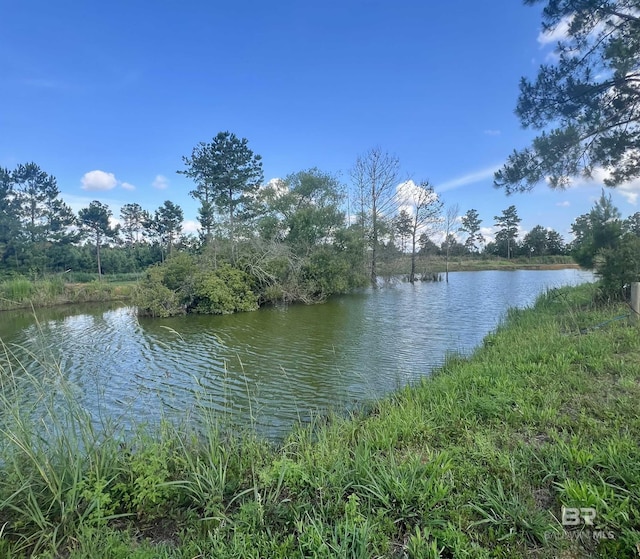24996 Cowpen Creek Rd, Robertsdale, AL 36567 - water view