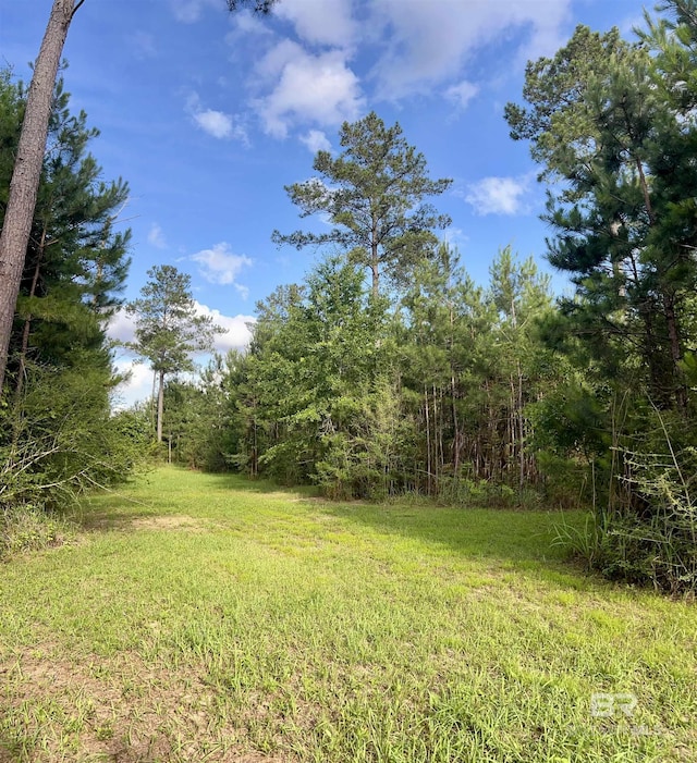 24996 Cowpen Creek Rd, Robertsdale, AL 36567 - view of green lawn featuring a view of trees