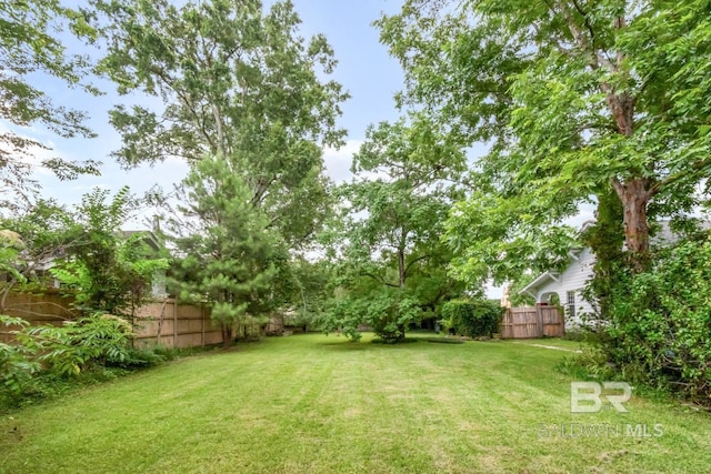 101 S Carlen St, Mobile, AL 36606 - view of fenced backyard