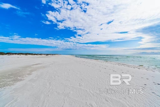 water view featuring a beach view