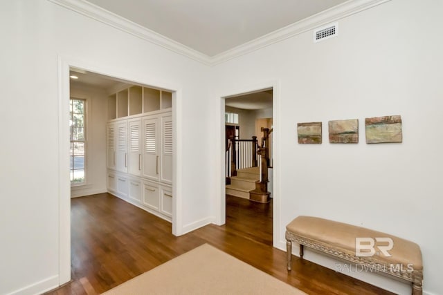 hallway featuring ornamental molding and dark wood-type flooring