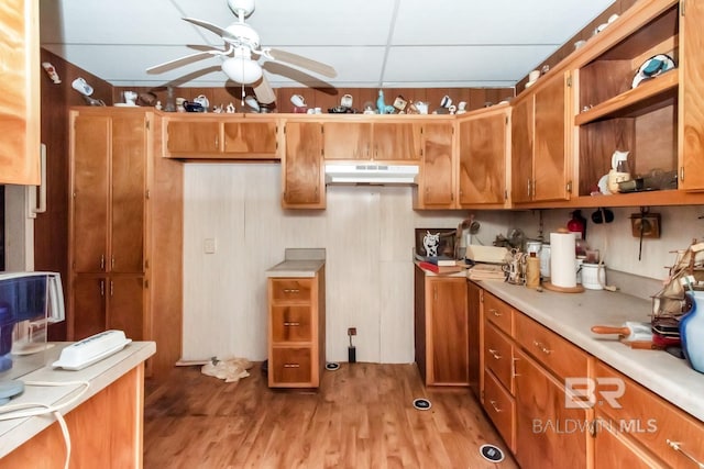 kitchen with light hardwood / wood-style floors, a drop ceiling, and ceiling fan